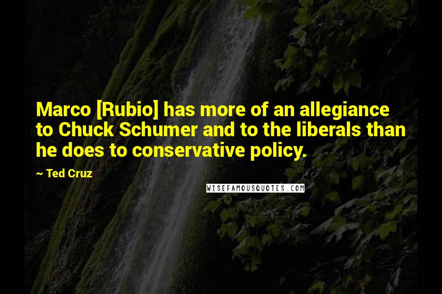Ted Cruz Quotes: Marco [Rubio] has more of an allegiance to Chuck Schumer and to the liberals than he does to conservative policy.
