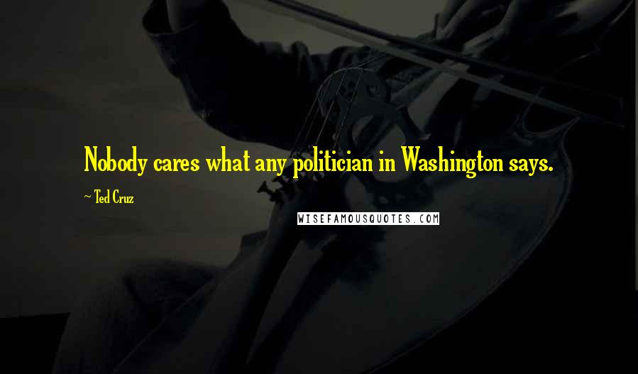 Ted Cruz Quotes: Nobody cares what any politician in Washington says.