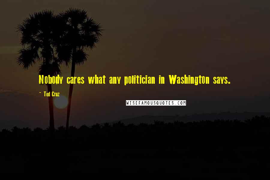 Ted Cruz Quotes: Nobody cares what any politician in Washington says.
