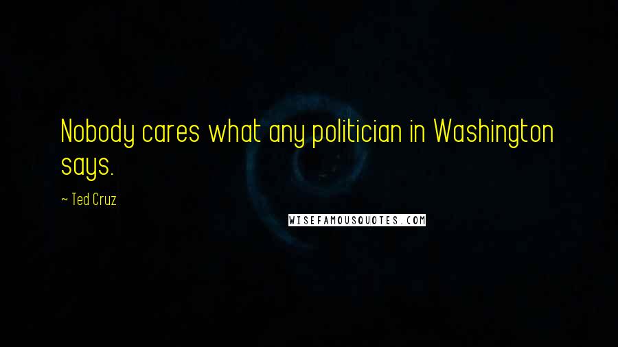 Ted Cruz Quotes: Nobody cares what any politician in Washington says.