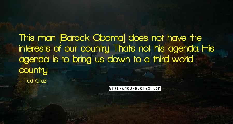 Ted Cruz Quotes: This man [Barack Obama] does not have the interests of our country. That's not his agenda. His agenda is to bring us down to a third-world country.