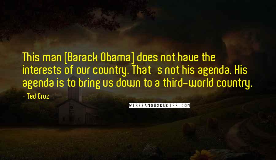 Ted Cruz Quotes: This man [Barack Obama] does not have the interests of our country. That's not his agenda. His agenda is to bring us down to a third-world country.