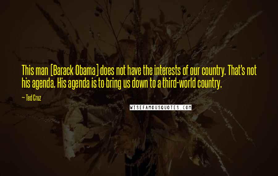 Ted Cruz Quotes: This man [Barack Obama] does not have the interests of our country. That's not his agenda. His agenda is to bring us down to a third-world country.