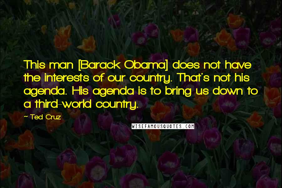 Ted Cruz Quotes: This man [Barack Obama] does not have the interests of our country. That's not his agenda. His agenda is to bring us down to a third-world country.