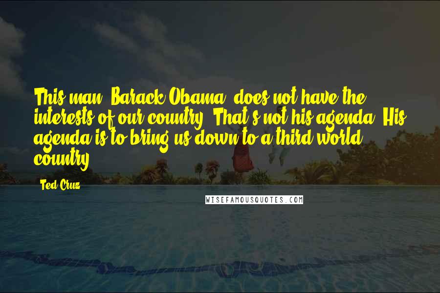 Ted Cruz Quotes: This man [Barack Obama] does not have the interests of our country. That's not his agenda. His agenda is to bring us down to a third-world country.