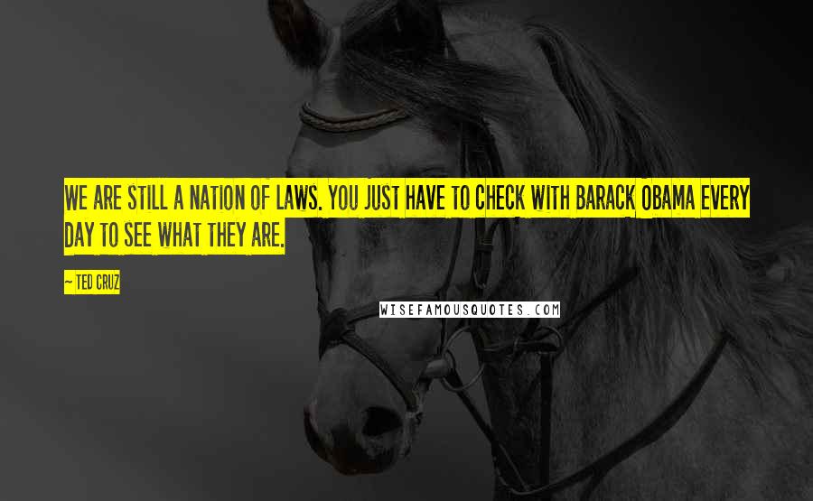 Ted Cruz Quotes: We are still a nation of laws. You just have to check with Barack Obama every day to see what they are.