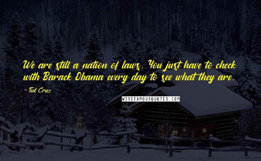 Ted Cruz Quotes: We are still a nation of laws. You just have to check with Barack Obama every day to see what they are.