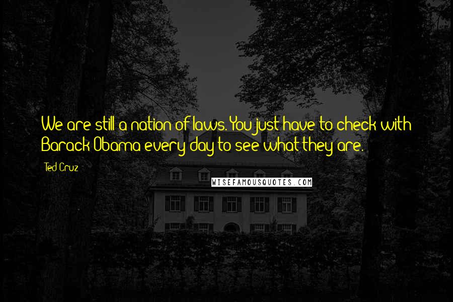 Ted Cruz Quotes: We are still a nation of laws. You just have to check with Barack Obama every day to see what they are.