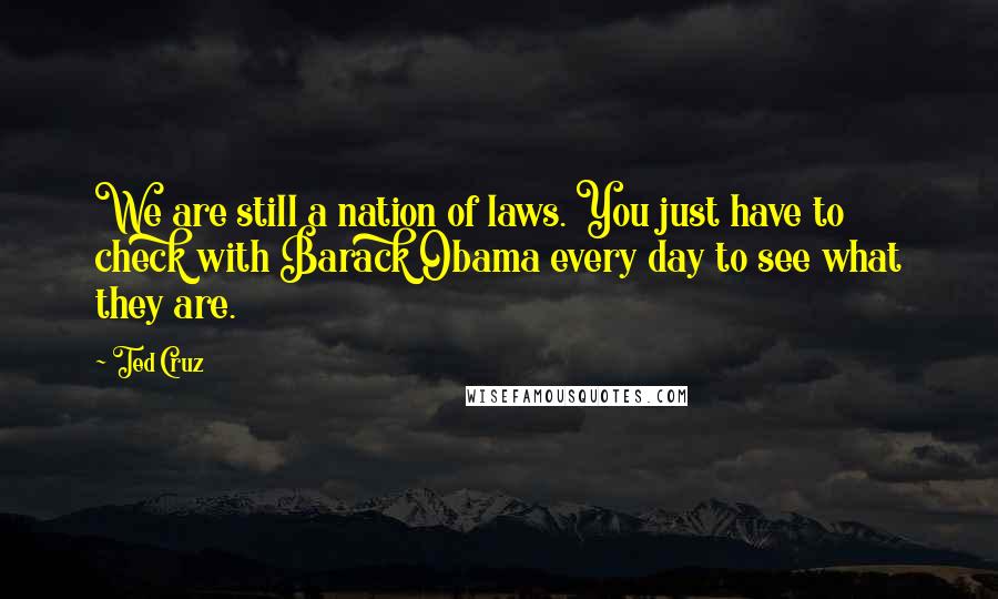 Ted Cruz Quotes: We are still a nation of laws. You just have to check with Barack Obama every day to see what they are.