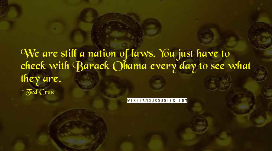 Ted Cruz Quotes: We are still a nation of laws. You just have to check with Barack Obama every day to see what they are.