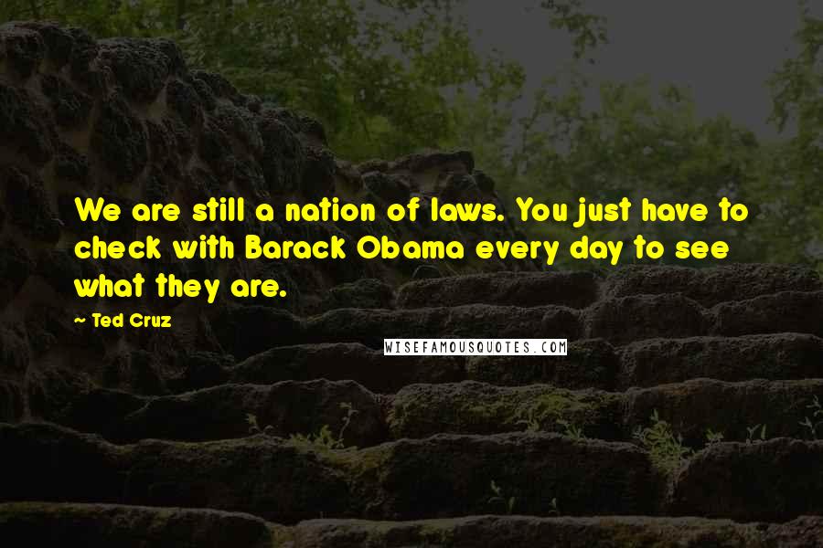 Ted Cruz Quotes: We are still a nation of laws. You just have to check with Barack Obama every day to see what they are.