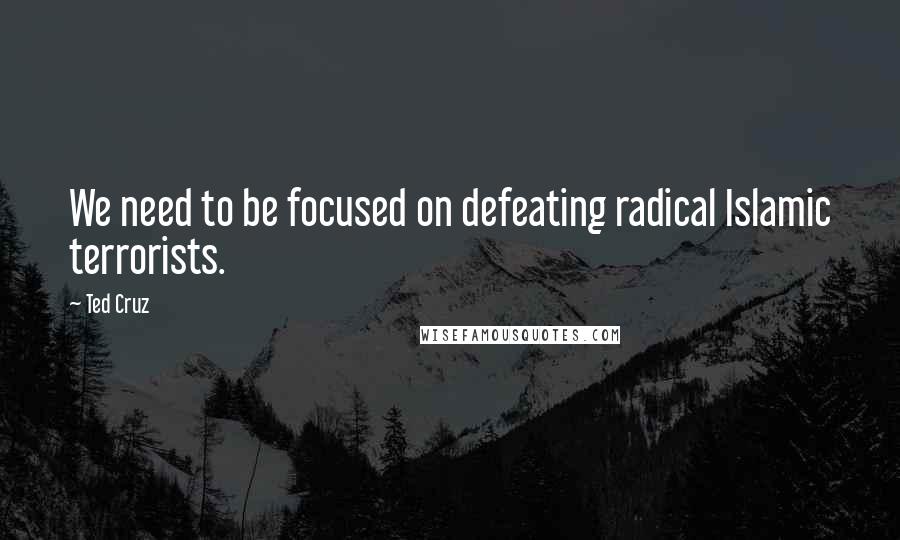 Ted Cruz Quotes: We need to be focused on defeating radical Islamic terrorists.