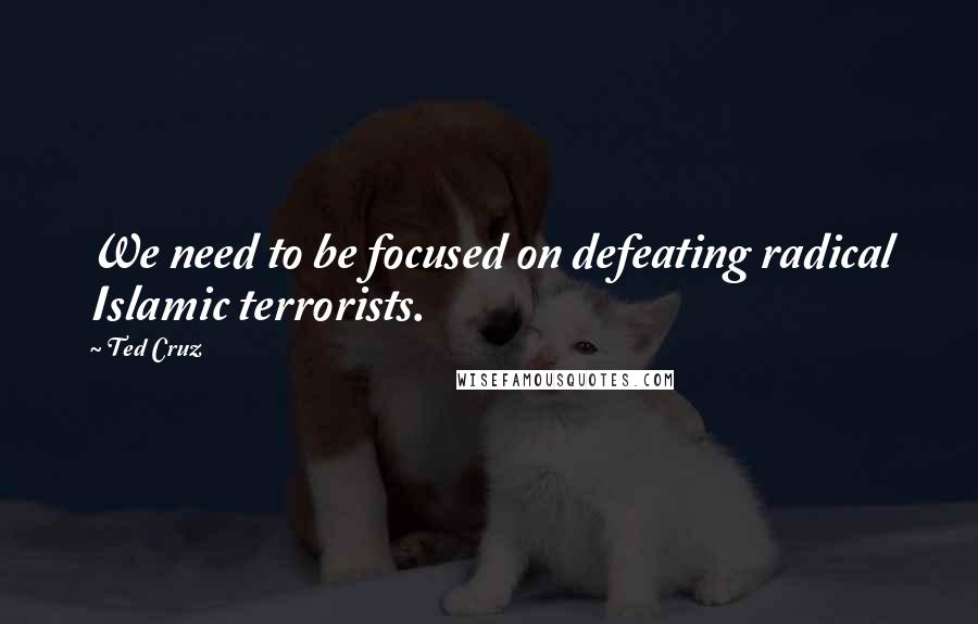 Ted Cruz Quotes: We need to be focused on defeating radical Islamic terrorists.