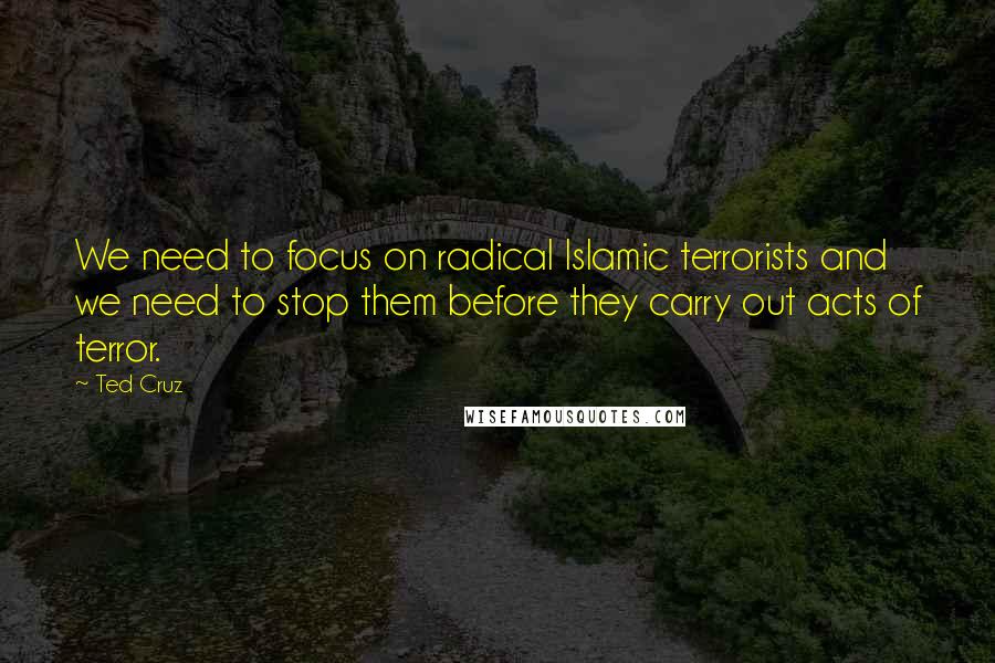 Ted Cruz Quotes: We need to focus on radical Islamic terrorists and we need to stop them before they carry out acts of terror.