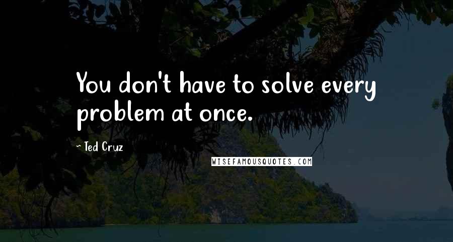 Ted Cruz Quotes: You don't have to solve every problem at once.