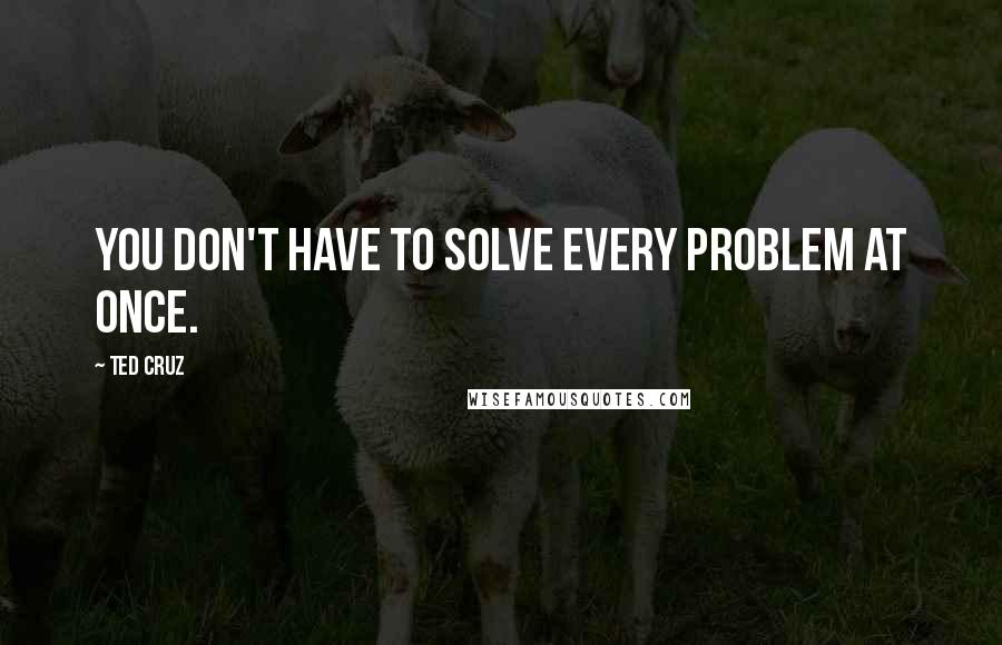 Ted Cruz Quotes: You don't have to solve every problem at once.