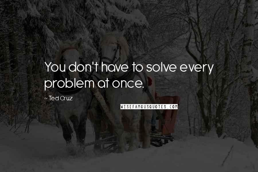 Ted Cruz Quotes: You don't have to solve every problem at once.