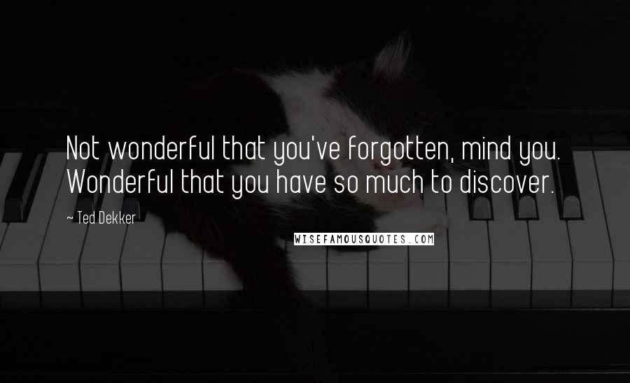 Ted Dekker Quotes: Not wonderful that you've forgotten, mind you. Wonderful that you have so much to discover.