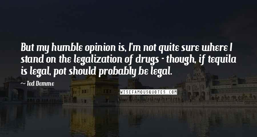 Ted Demme Quotes: But my humble opinion is, I'm not quite sure where I stand on the legalization of drugs - though, if tequila is legal, pot should probably be legal.