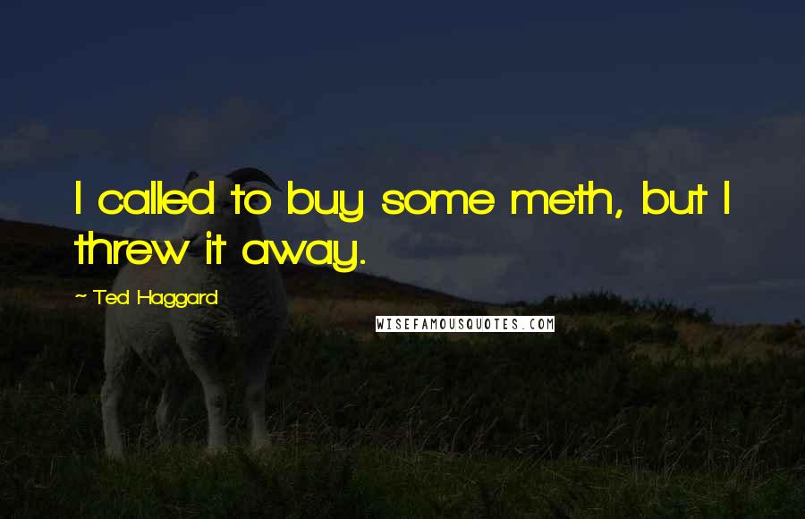 Ted Haggard Quotes: I called to buy some meth, but I threw it away.