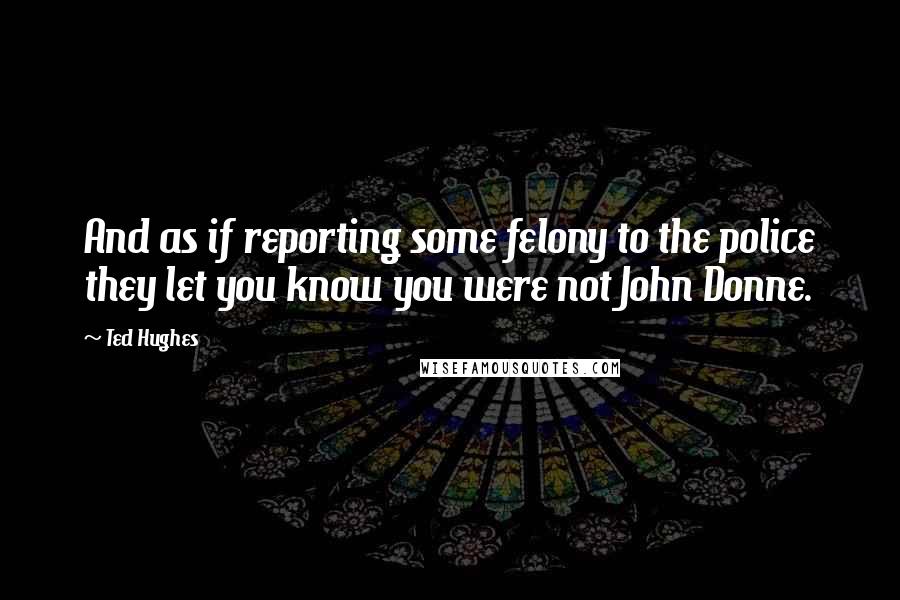 Ted Hughes Quotes: And as if reporting some felony to the police they let you know you were not John Donne.