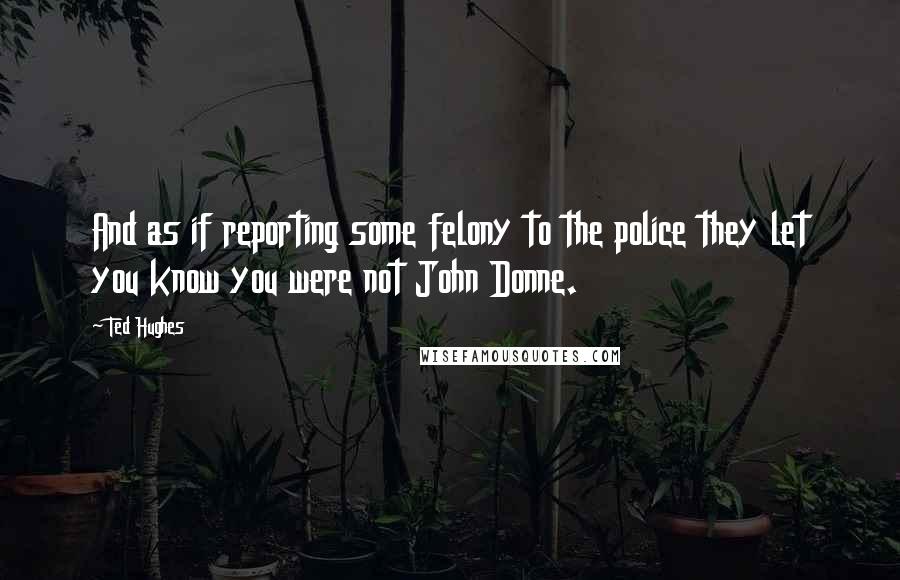Ted Hughes Quotes: And as if reporting some felony to the police they let you know you were not John Donne.