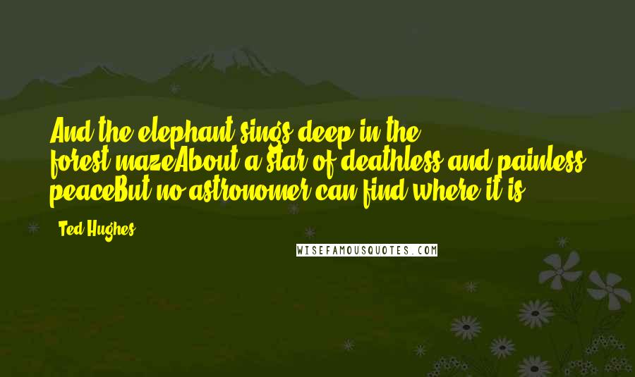 Ted Hughes Quotes: And the elephant sings deep in the forest-mazeAbout a star of deathless and painless peaceBut no astronomer can find where it is.