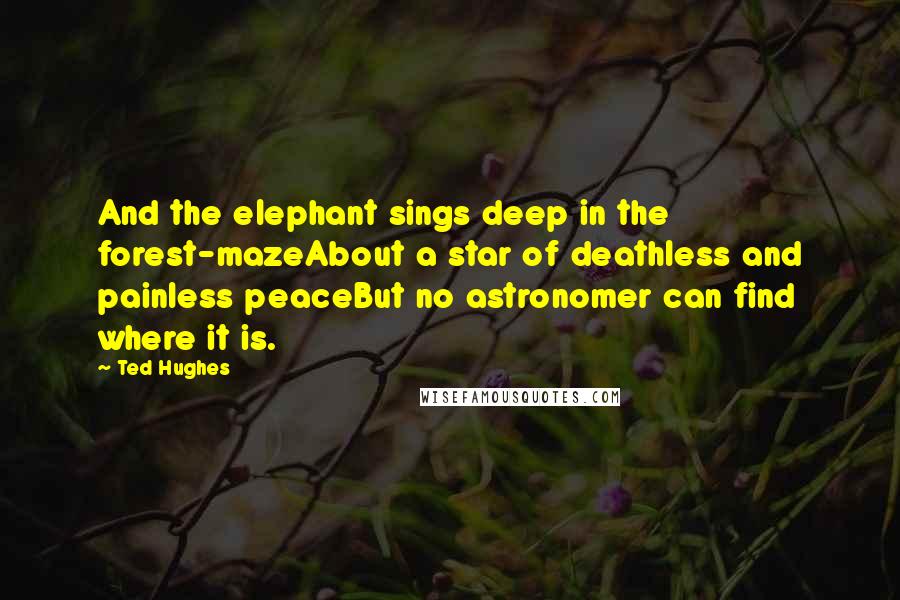 Ted Hughes Quotes: And the elephant sings deep in the forest-mazeAbout a star of deathless and painless peaceBut no astronomer can find where it is.