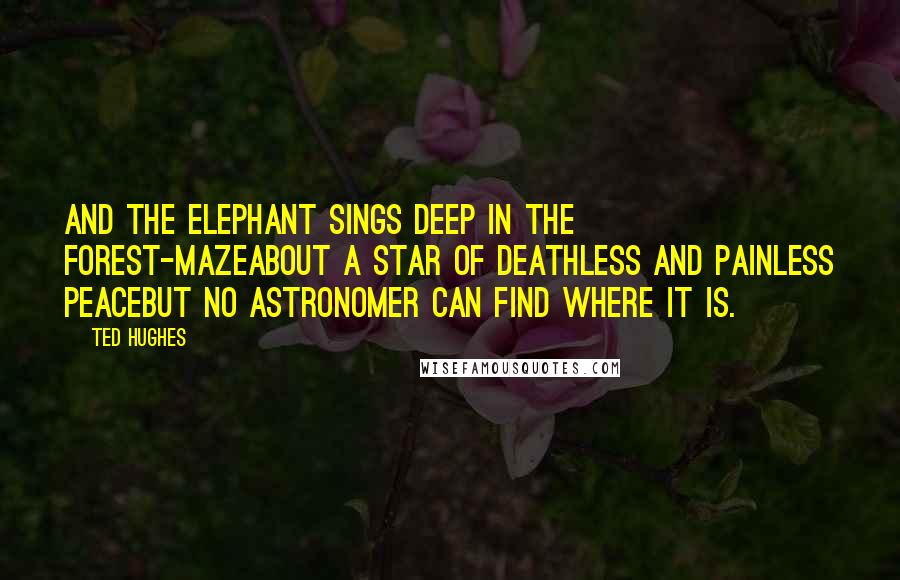 Ted Hughes Quotes: And the elephant sings deep in the forest-mazeAbout a star of deathless and painless peaceBut no astronomer can find where it is.