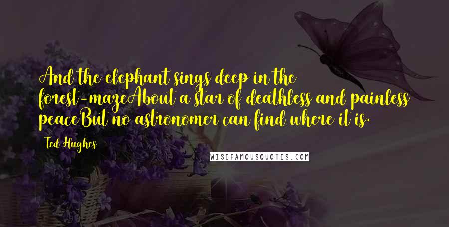 Ted Hughes Quotes: And the elephant sings deep in the forest-mazeAbout a star of deathless and painless peaceBut no astronomer can find where it is.