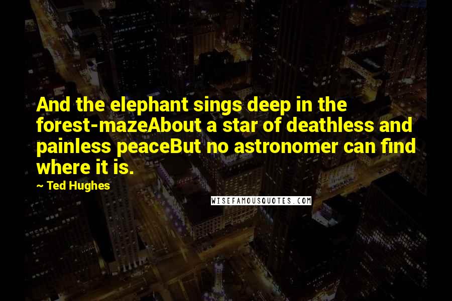 Ted Hughes Quotes: And the elephant sings deep in the forest-mazeAbout a star of deathless and painless peaceBut no astronomer can find where it is.