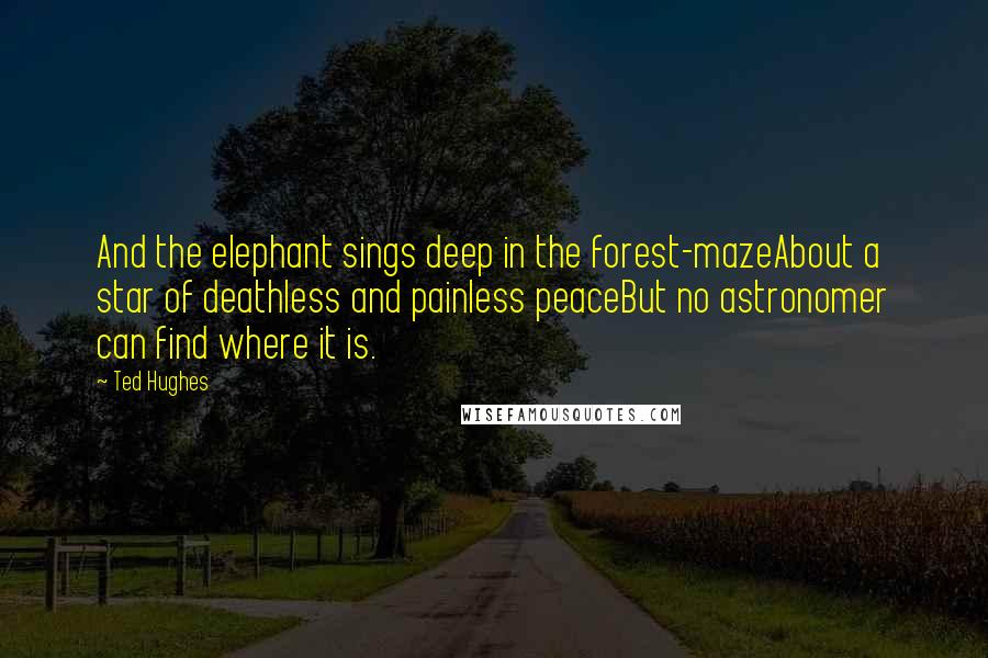 Ted Hughes Quotes: And the elephant sings deep in the forest-mazeAbout a star of deathless and painless peaceBut no astronomer can find where it is.