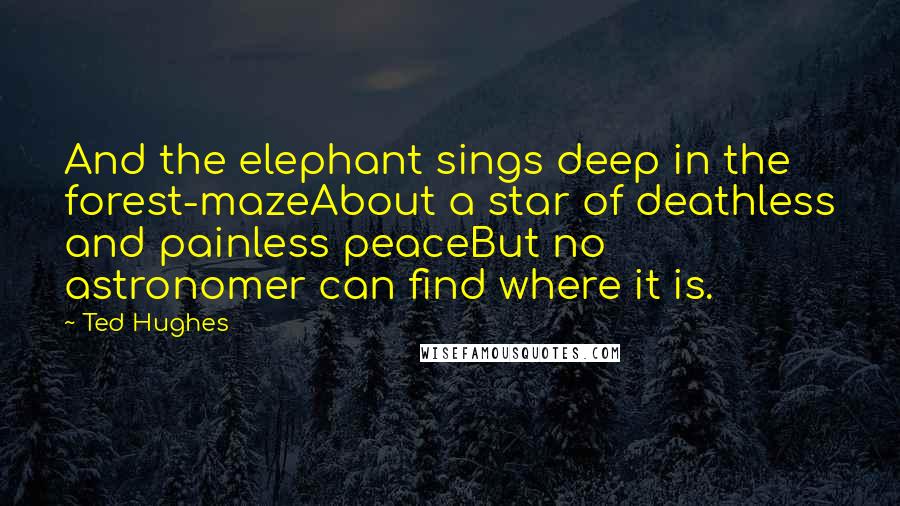 Ted Hughes Quotes: And the elephant sings deep in the forest-mazeAbout a star of deathless and painless peaceBut no astronomer can find where it is.