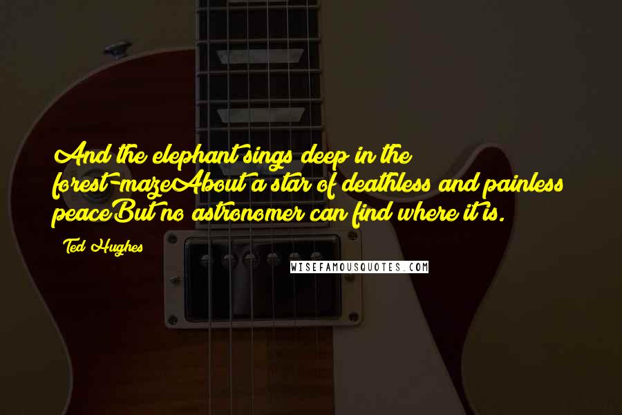 Ted Hughes Quotes: And the elephant sings deep in the forest-mazeAbout a star of deathless and painless peaceBut no astronomer can find where it is.