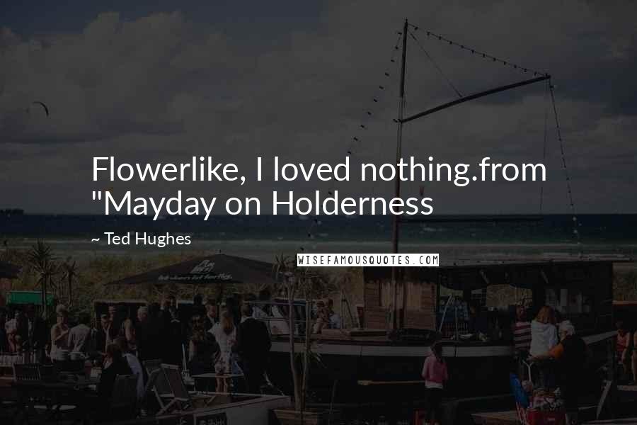 Ted Hughes Quotes: Flowerlike, I loved nothing.from "Mayday on Holderness