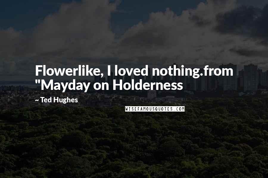 Ted Hughes Quotes: Flowerlike, I loved nothing.from "Mayday on Holderness