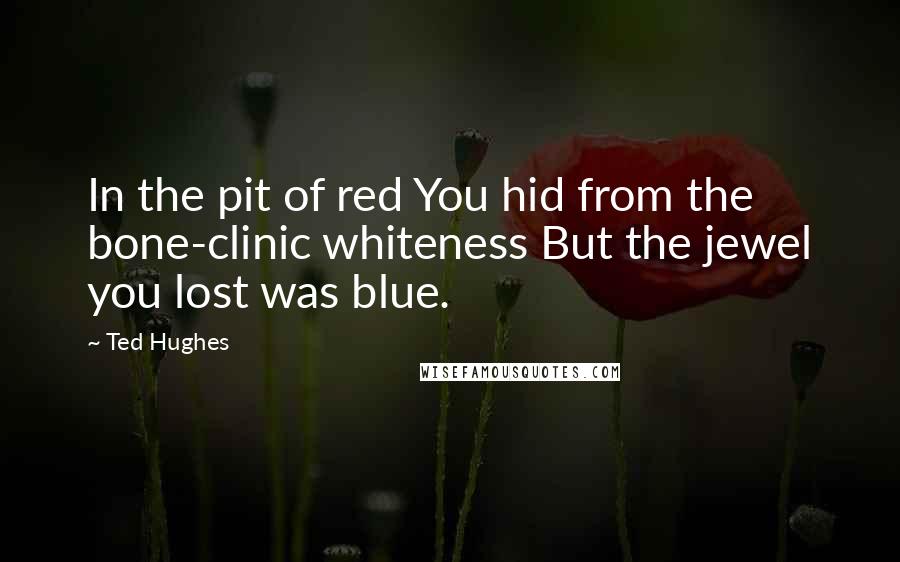 Ted Hughes Quotes: In the pit of red You hid from the bone-clinic whiteness But the jewel you lost was blue.