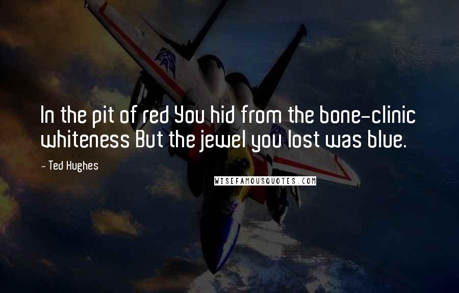 Ted Hughes Quotes: In the pit of red You hid from the bone-clinic whiteness But the jewel you lost was blue.