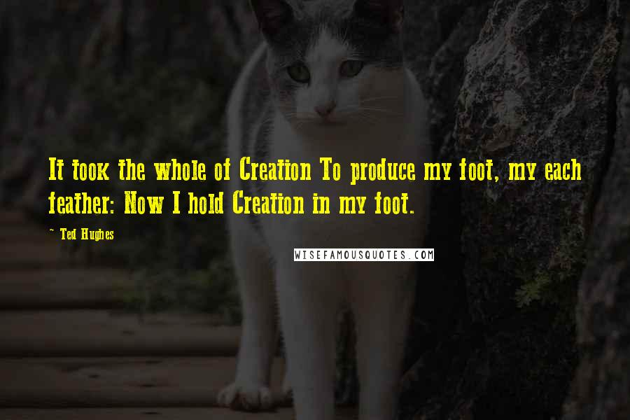 Ted Hughes Quotes: It took the whole of Creation To produce my foot, my each feather: Now I hold Creation in my foot.