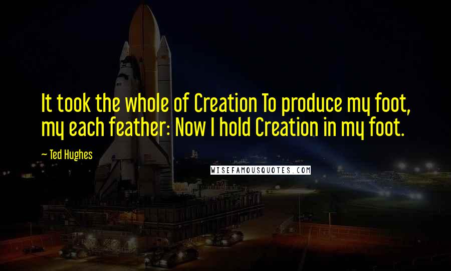 Ted Hughes Quotes: It took the whole of Creation To produce my foot, my each feather: Now I hold Creation in my foot.