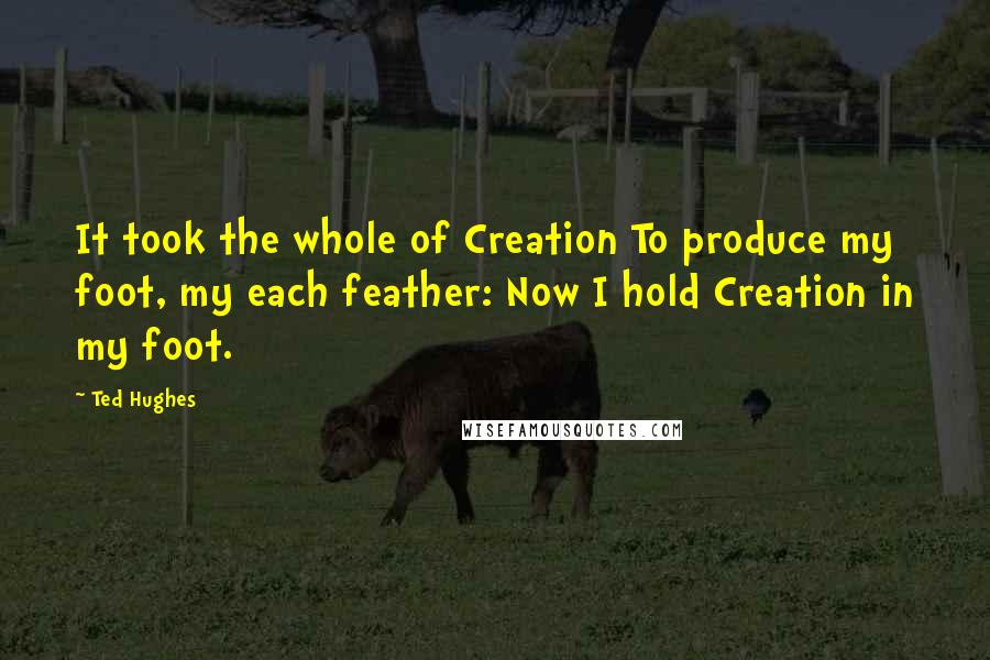 Ted Hughes Quotes: It took the whole of Creation To produce my foot, my each feather: Now I hold Creation in my foot.