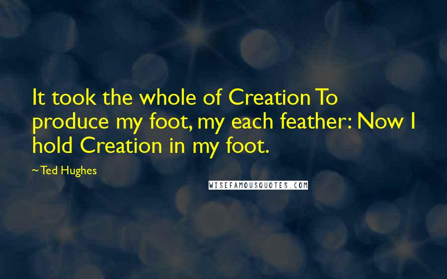 Ted Hughes Quotes: It took the whole of Creation To produce my foot, my each feather: Now I hold Creation in my foot.