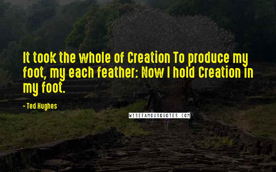 Ted Hughes Quotes: It took the whole of Creation To produce my foot, my each feather: Now I hold Creation in my foot.