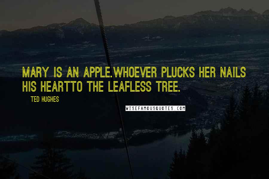 Ted Hughes Quotes: Mary is an apple.Whoever plucks her Nails his heartTo the leafless tree.