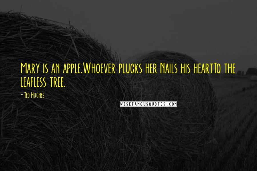 Ted Hughes Quotes: Mary is an apple.Whoever plucks her Nails his heartTo the leafless tree.