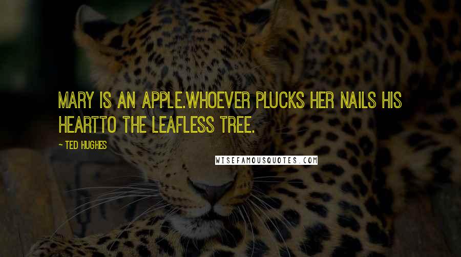 Ted Hughes Quotes: Mary is an apple.Whoever plucks her Nails his heartTo the leafless tree.