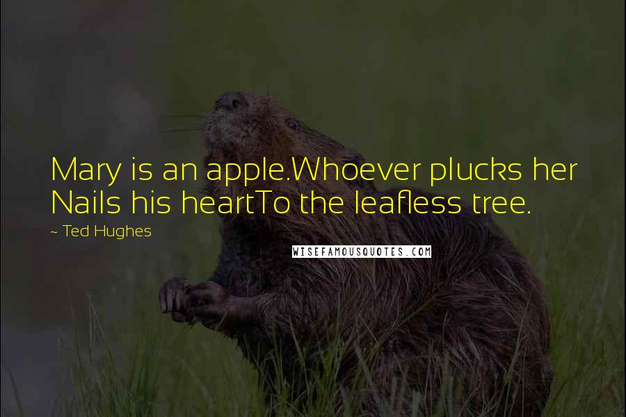 Ted Hughes Quotes: Mary is an apple.Whoever plucks her Nails his heartTo the leafless tree.