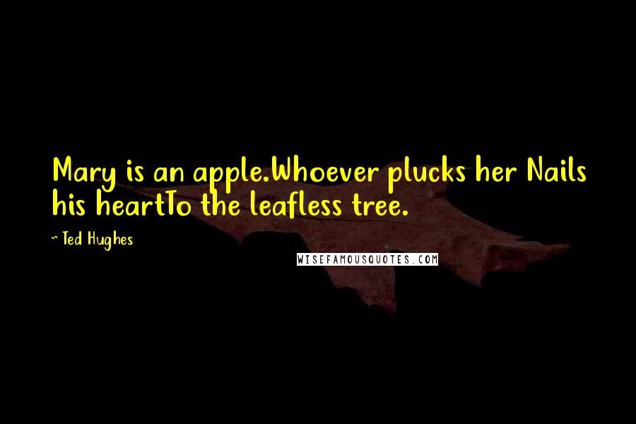 Ted Hughes Quotes: Mary is an apple.Whoever plucks her Nails his heartTo the leafless tree.