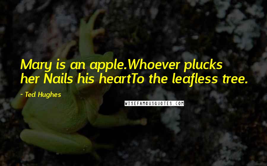 Ted Hughes Quotes: Mary is an apple.Whoever plucks her Nails his heartTo the leafless tree.