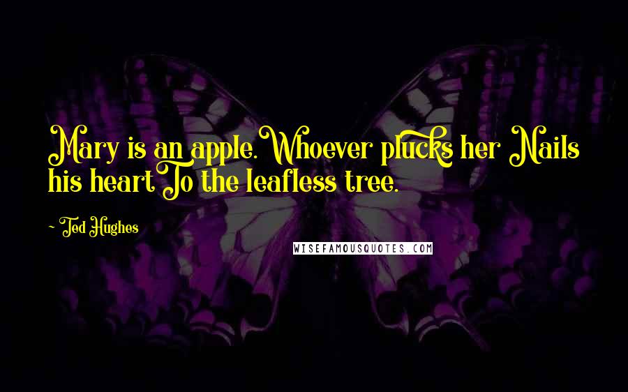 Ted Hughes Quotes: Mary is an apple.Whoever plucks her Nails his heartTo the leafless tree.